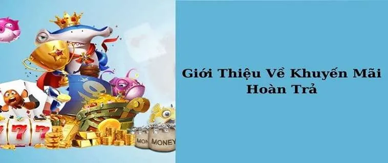 Khám Phá Chương Trình Hoàn Trả Hàng Ngày Tại Nhà Cái V9WIN 2 Khám Phá Chương Trình Hoàn Trả Hàng Ngày Tại Nhà Cái V9WIN